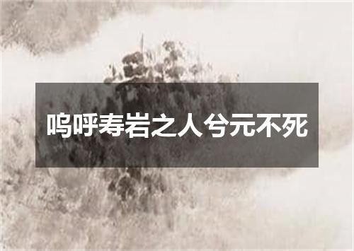 呜呼寿岩之人兮元不死