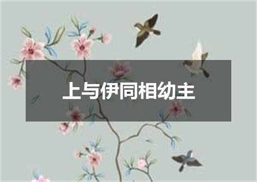 上与伊同相幼主