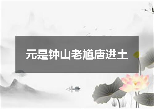 元是钟山老馗唐进土
