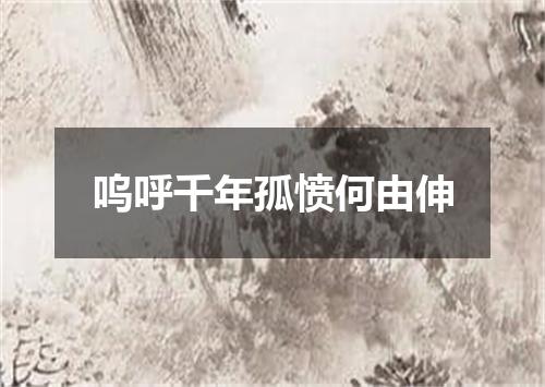 呜呼千年孤愤何由伸