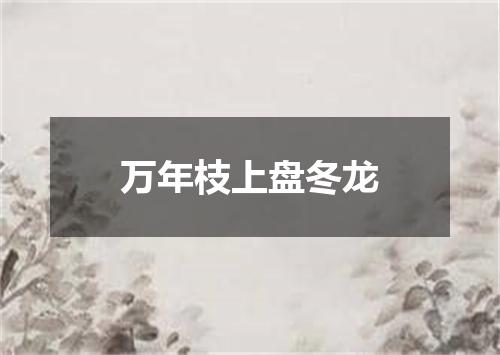 万年枝上盘冬龙