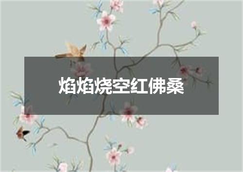 焰焰烧空红佛桑