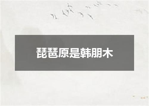 琵琶原是韩朋木