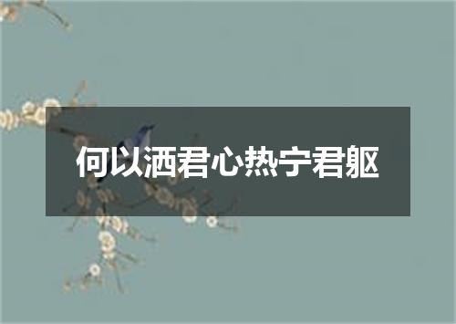 何以洒君心热宁君躯