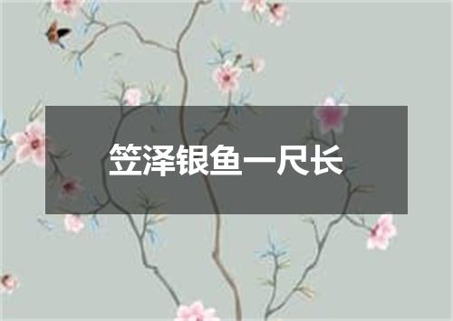 笠泽银鱼一尺长