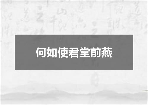 何如使君堂前燕