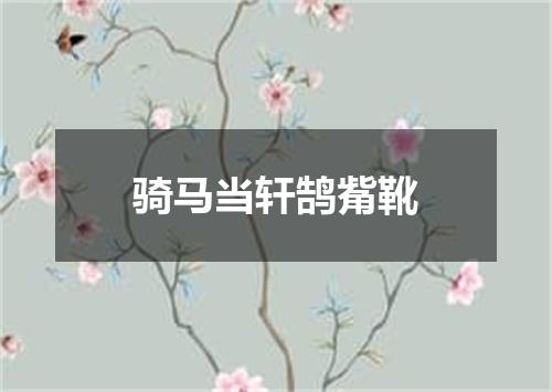 骑马当轩鹄觜靴