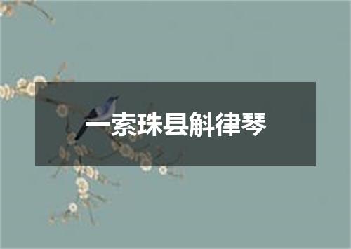 一索珠县斛律琴