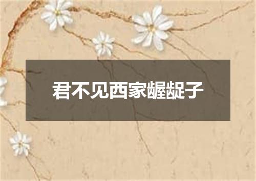 君不见西家龌龊子