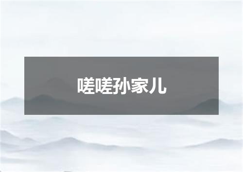 嗟嗟孙家儿