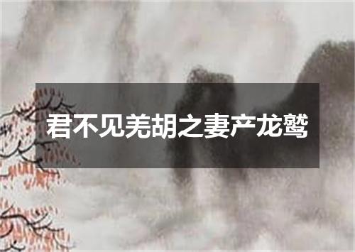 君不见羌胡之妻产龙鹫