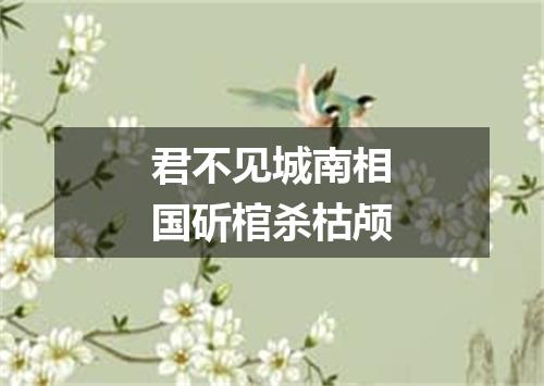 君不见城南相国斫棺杀枯颅