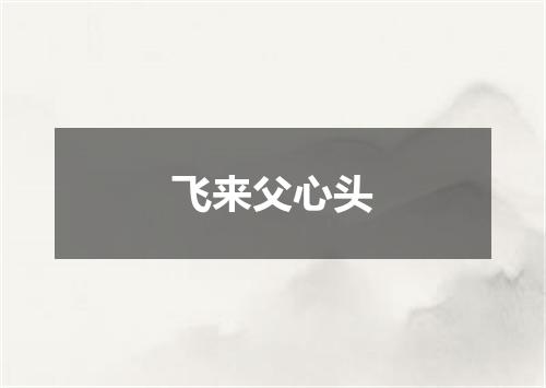 飞来父心头