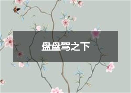 盘盘驾之下