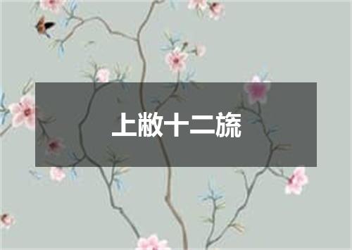 上敝十二旒