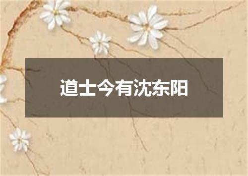 道士今有沈东阳