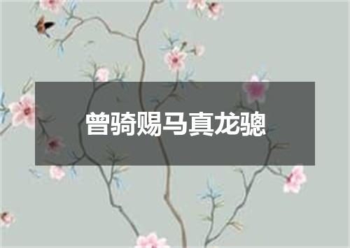 曾骑赐马真龙骢