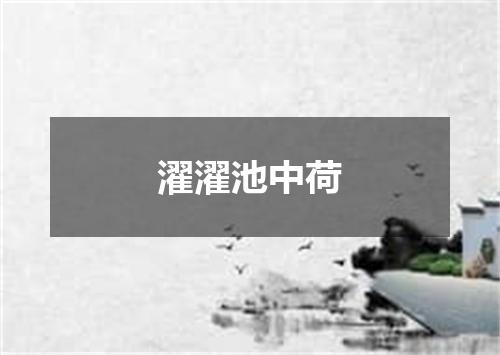 濯濯池中荷
