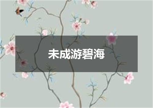 未成游碧海