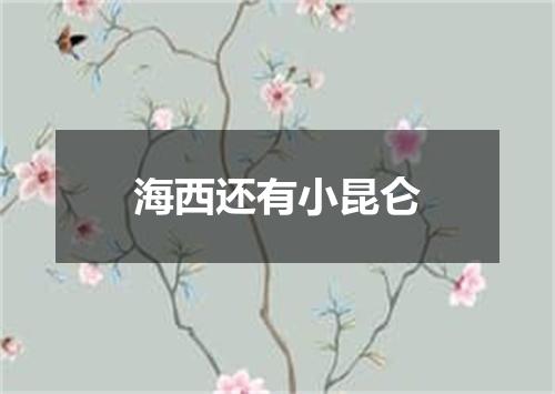 海西还有小昆仑