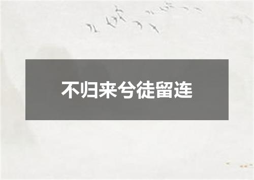 不归来兮徒留连