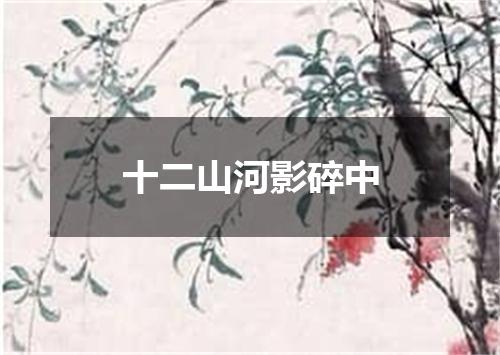 十二山河影碎中