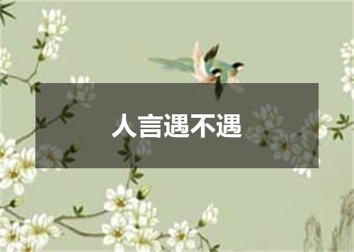 人言遇不遇
