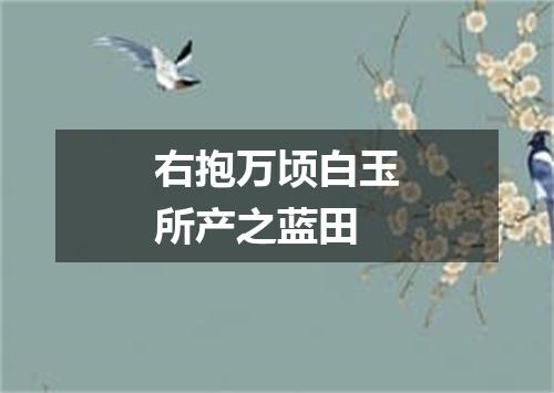 右抱万顷白玉所产之蓝田