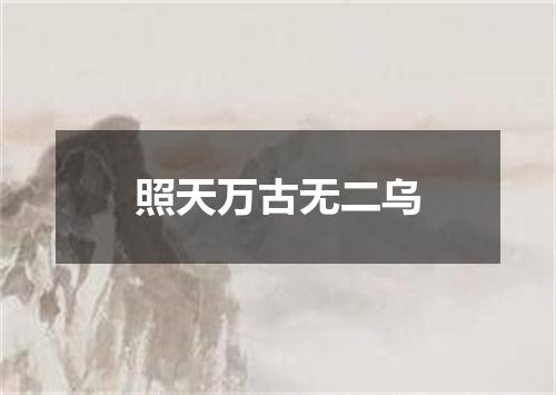 照天万古无二乌