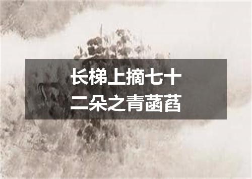 长梯上摘七十二朵之青菡萏