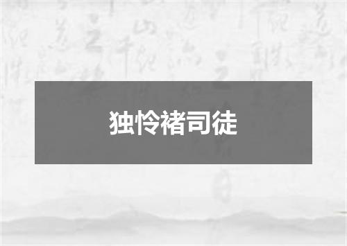 独怜褚司徒