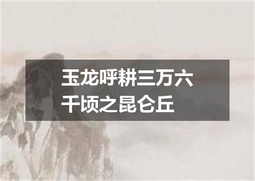 玉龙呼耕三万六千顷之昆仑丘