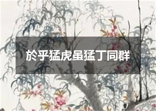 於乎猛虎虽猛丁同群