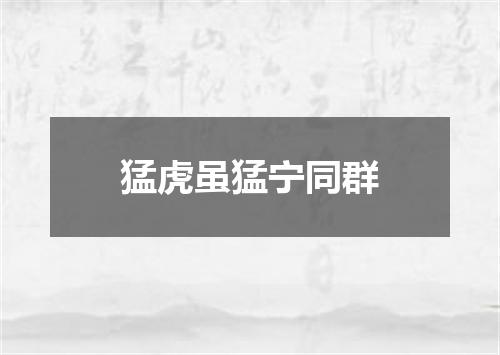 猛虎虽猛宁同群