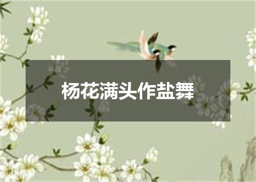 杨花满头作盐舞