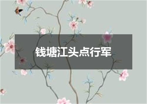 钱塘江头点行军