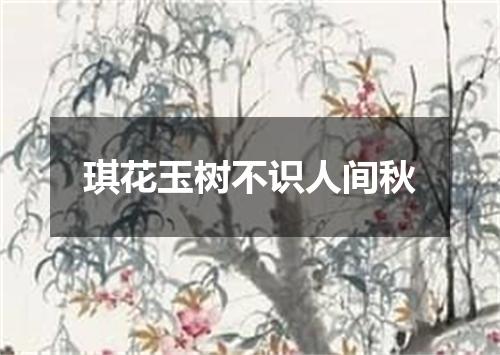 琪花玉树不识人间秋