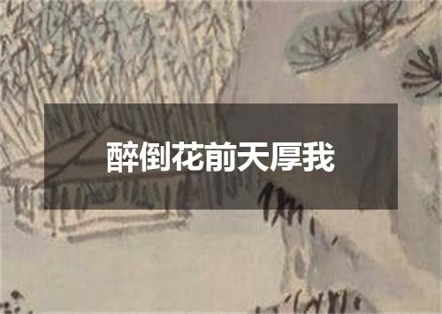 醉倒花前天厚我
