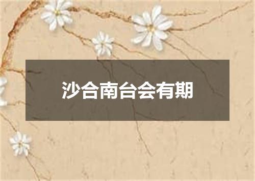 沙合南台会有期