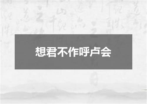 想君不作呼卢会