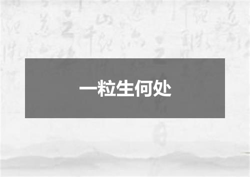 一粒生何处