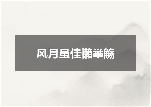 风月虽佳懶举觞