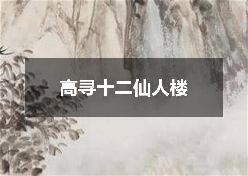 高寻十二仙人楼