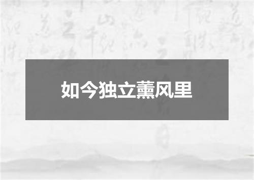 如今独立薰风里