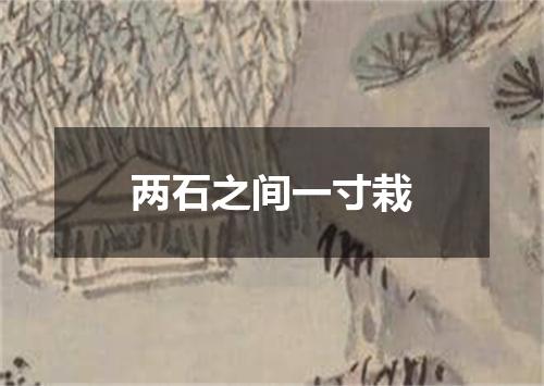 两石之间一寸栽
