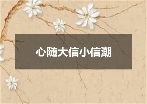心随大信小信潮