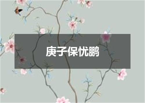 庚子保忧鹏