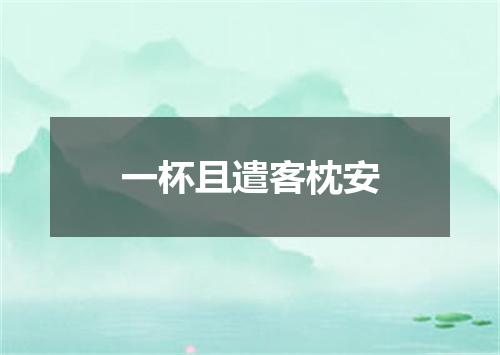 一杯且遣客枕安