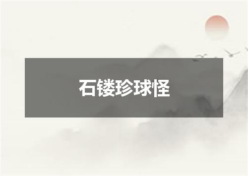 石镂珍球怪