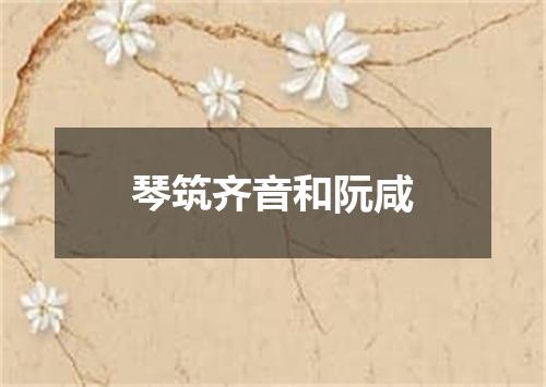 琴筑齐音和阮咸